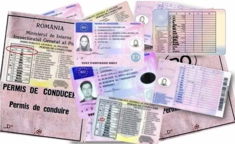 cita canje carnet de conducir