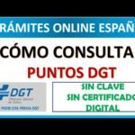 como saber los puntos del carnet de conducir sin clave