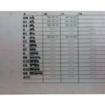 tipo de carnet de conducir